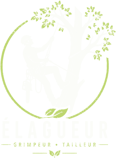 Papegaey Élagage — élagueur grimpeur tailleur