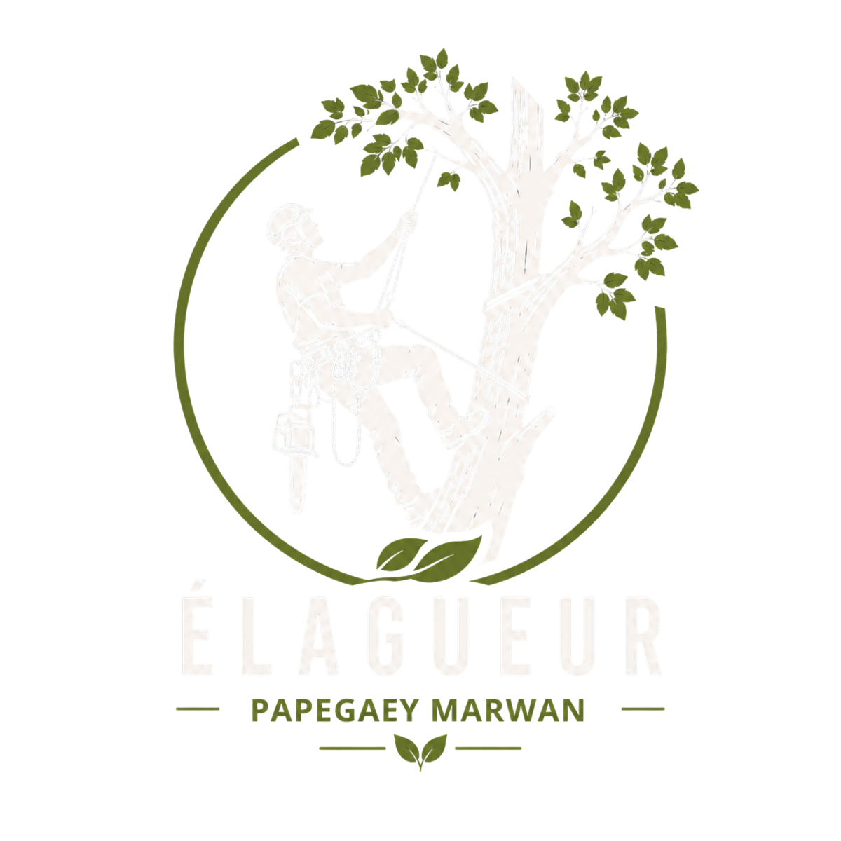 Papegaey Élagage, élagueur grimpeur tailleur